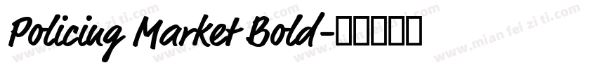 Policing Market Bold字体转换